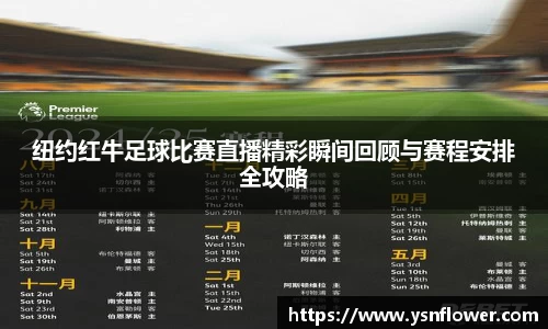 奇异果体育