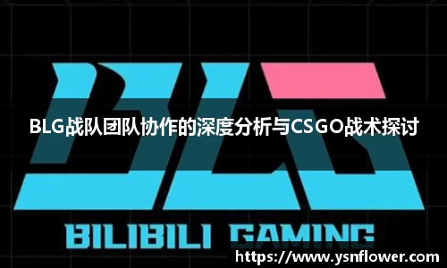 mgty奇异果体育