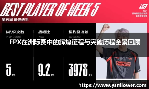 奇异果qyg网页版