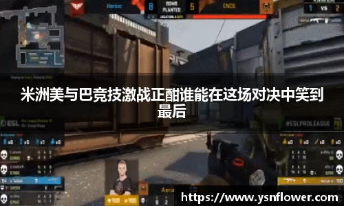 奇异果体育