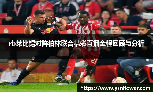 奇异果wygvip