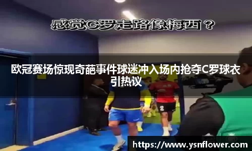 奇异果wygvip