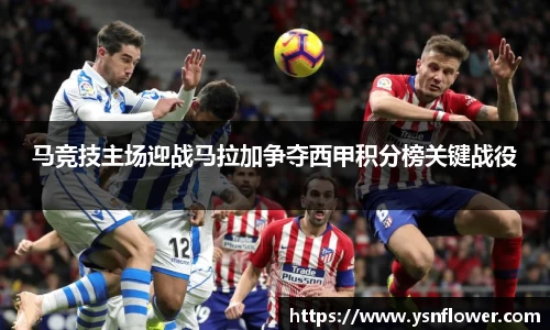 奇异果wygvip