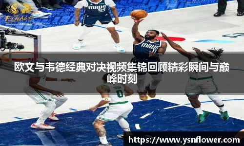 欧文与韦德经典对决视频集锦回顾精彩瞬间与巅峰时刻