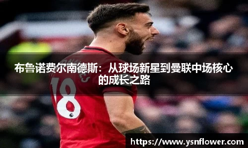 奇异果qyg网页版