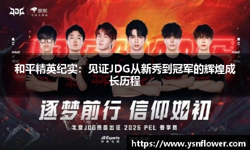 奇异果体育